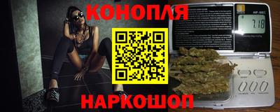 СК Гагарин