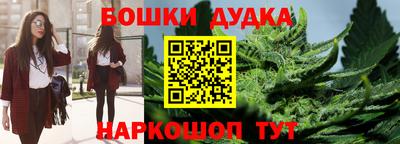 МДПВ Гатчина