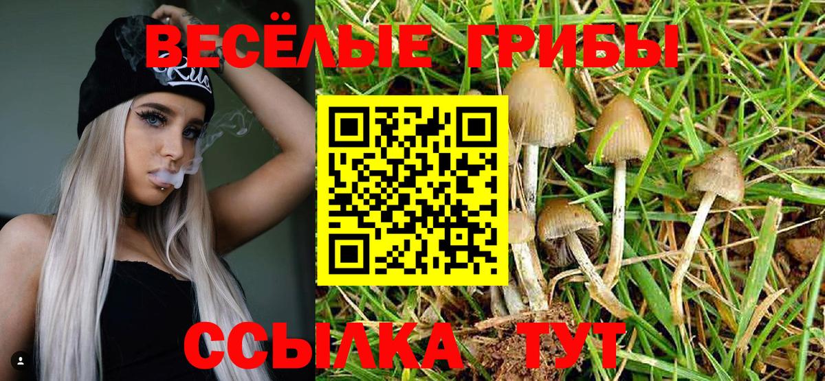 Псилоцибиновые грибы Magic Shrooms  Вход с VPN  Магадан  Псилоцибиновые грибы мицелий 