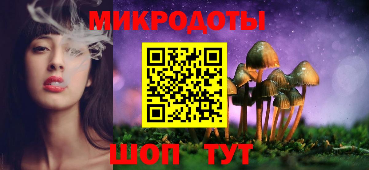Псилоцибиновые грибы Psilocybe Магадан