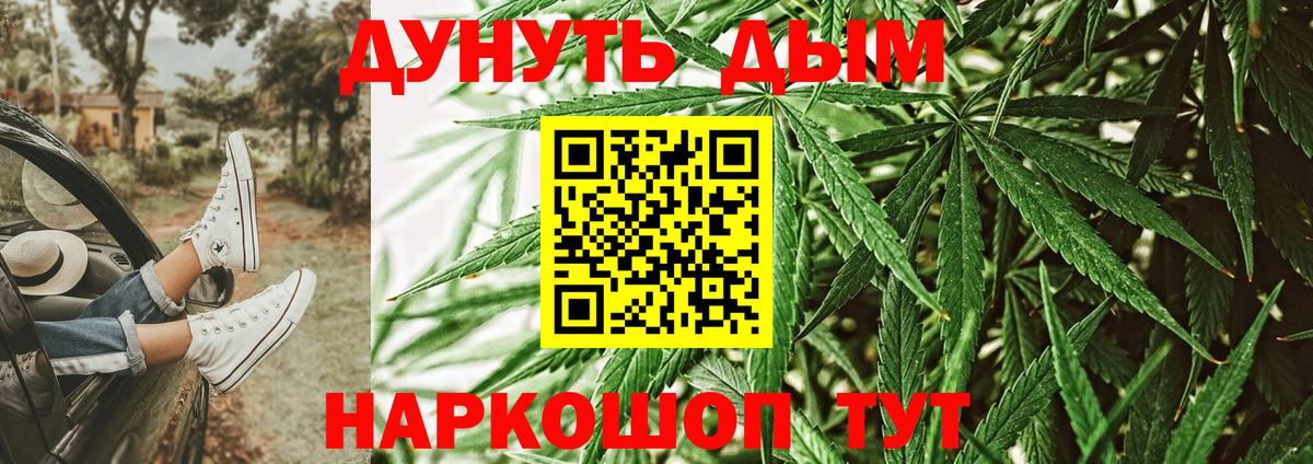 Канабис планчик  Каннабис конопля  Бошки Шишки сатива  Вход с VPN  Магадан  Конопля THC 21% 